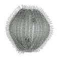 thumbnail image 1 of Attrape-cheveux pour Machine à Laver, Machine à Laver, Attrape-Cheveux Réutilisable, Machine à Laver pour Vêtements, Linge et Literie, 1 of 9