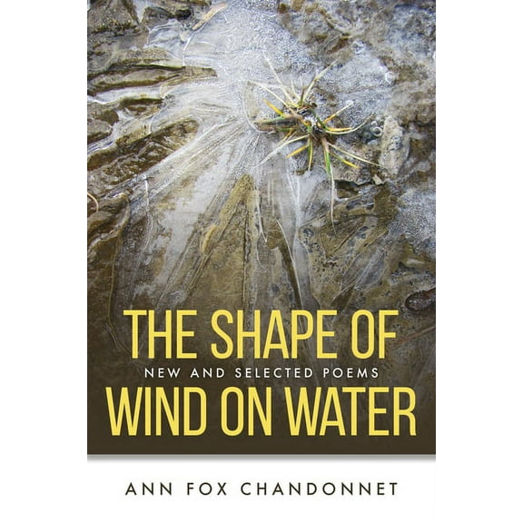The Shape of Wind on Water (Paperback)