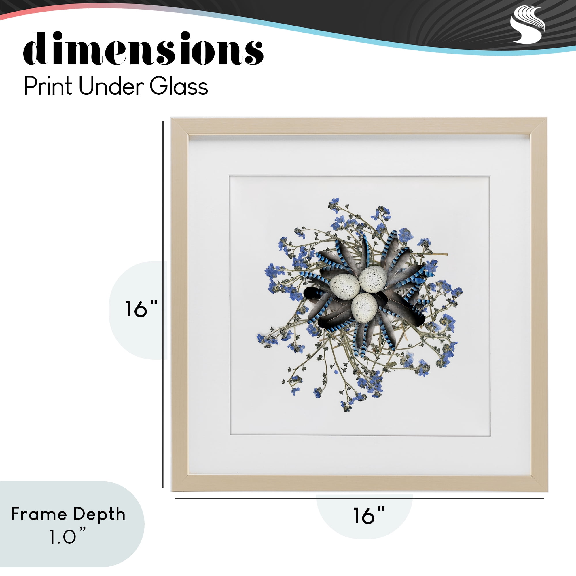 Stupell Industries Feathered Nest & Blue Florals Birch Framed Print Under Glass, design by Beth Adoette