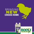 thumbnail image 5 of Backyard Boost Defense, 5 of 8