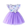 thumbnail image 1 of FYDUU Robe en Tulle pour Tout-Petites Filles, Robes pour Bébé Décontractées à Manches Courtes, Col Rond, Robe d'Été pour Nourrisson pour Fête, Tenue de Jeu Confortable, Robes Midi Trapèze pour 6-9 Mois, 1 of 6