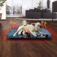 thumbnail image 2 of Cama Calefaccionada para Perros y Mascotas, 50X40 cm, Multicolor, 2 of 5