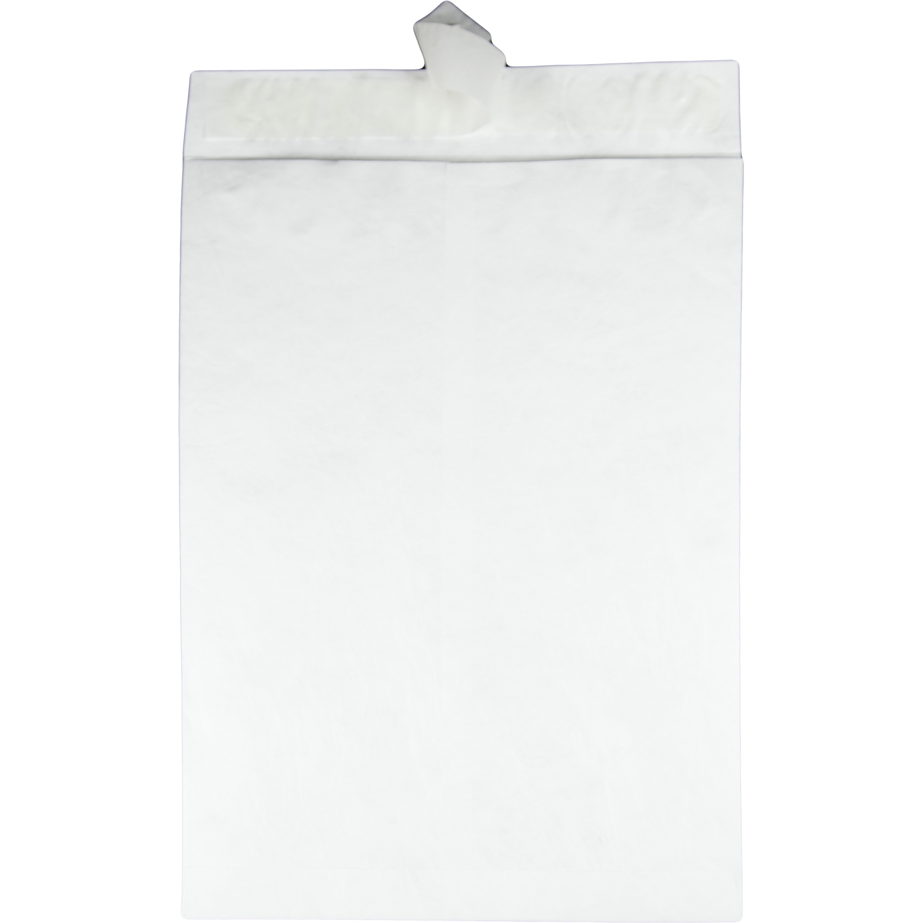 Quality Park, QUAR5106, Tyvek Jumbo Survivor Envelopes, 25 / Box, White