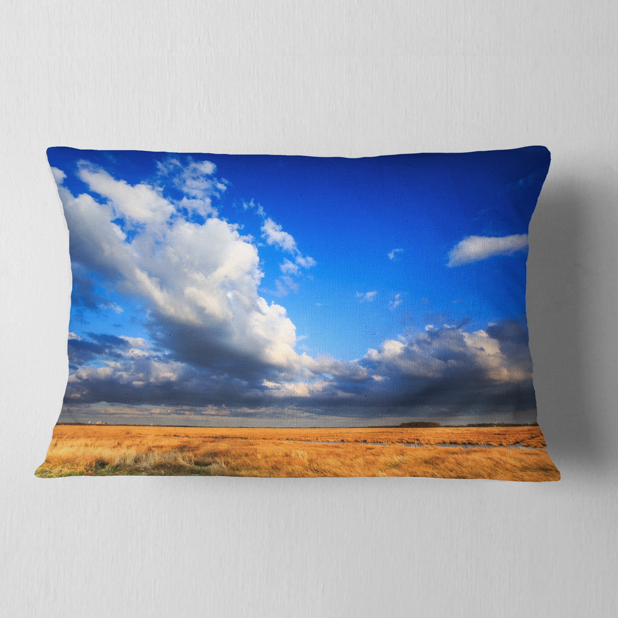 Designart Clouded Blue Sky over Prairie - Landscape Printed Throw Pillow - 12x20