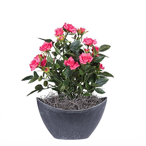 Vickerman 13.5" Rose Chaud Mini Diamant Rosier dans un Récipient Ovale en Plastique Dur