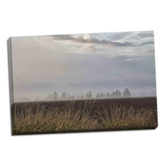 Gango Home Decor Foggy Morning II by Dana Styber (Ready to Hang); One 36x24in Hand-Stretched Canvas