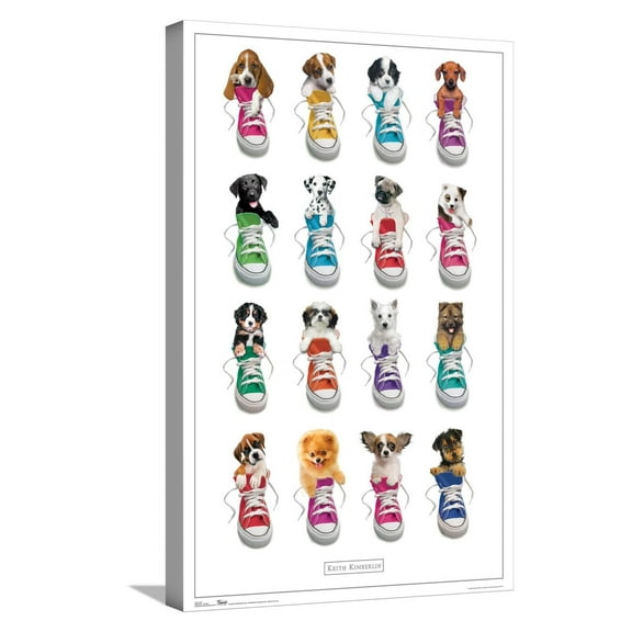 Keith Kimberlin - Puppies in Shoes Canvas Wall Poster, 14.725" x 22.375"