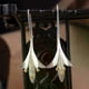thumbnail image 3 of Long Flower Earrings for Women Design Lovely Girls Statement Jewelry, 3 of 4