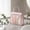 B, variant on Yaayu Transparent Waterproof PVC Wash Bag, Breathable Toiletry Cosmetic Organizer for Travel, Storage Trunks & Bag, Clear