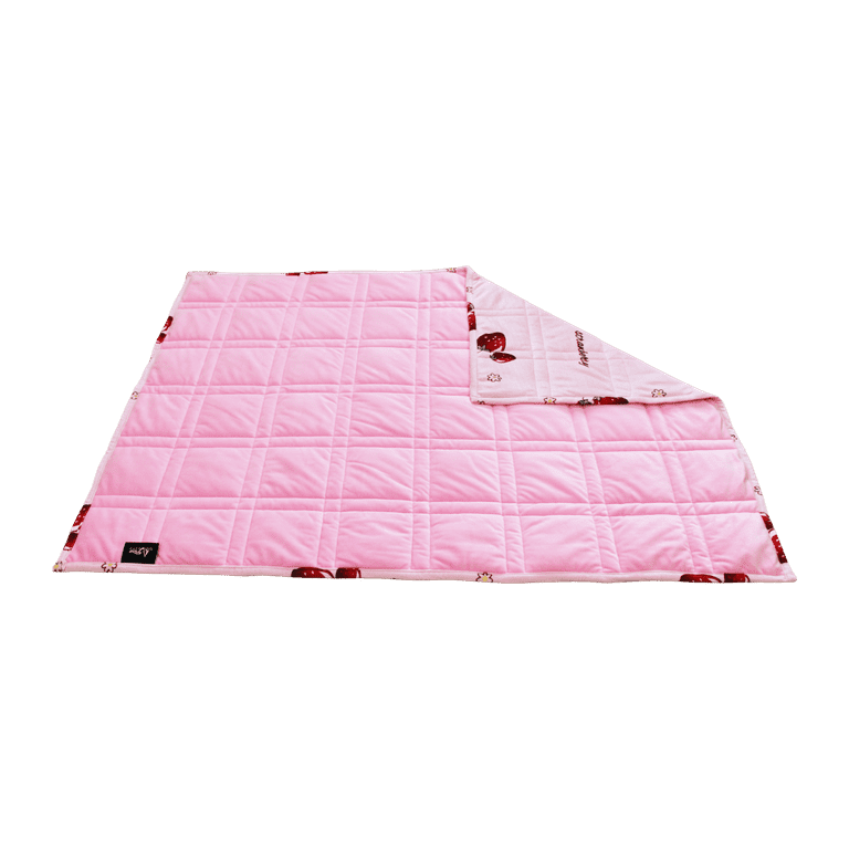 Pine and river ultra plush weighted blanket clearance