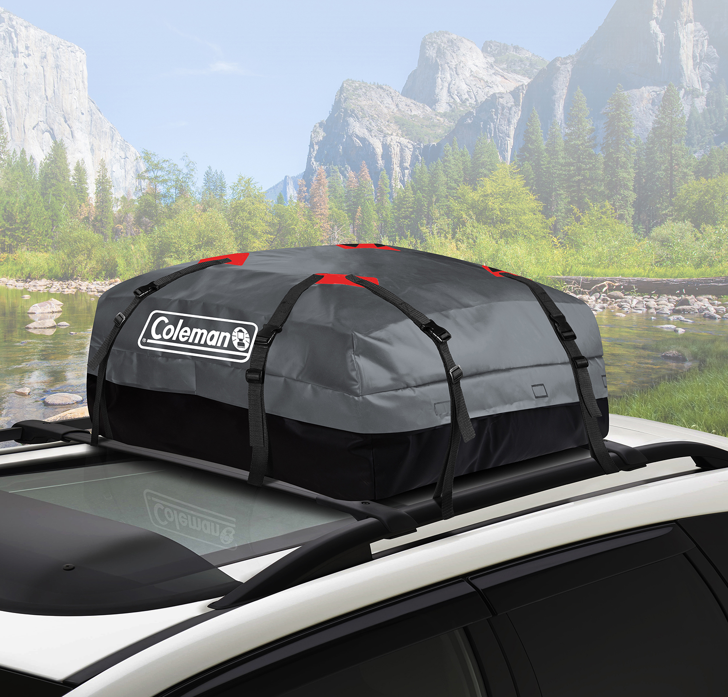 coleman rooftop cargo bag