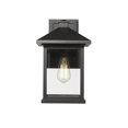 thumbnail image 4 of Z-Lite 531B-ORB 1 Light Outdoor Wall Light Clear Seedy, 4 of 8