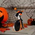 thumbnail image 5 of Halloween Porch Goose Outfit, Holiday Costume For Yard And Garden, Witch Hat And Dress Halloween Costume,One Size, 5 of 7
