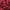 Wine, variant on Artificial Flowers 100Pc Silk Artificial Flower Rose Petals Wedding Party Decorations for Decorating Home Kitchen Wedding Party Decoration (Red)