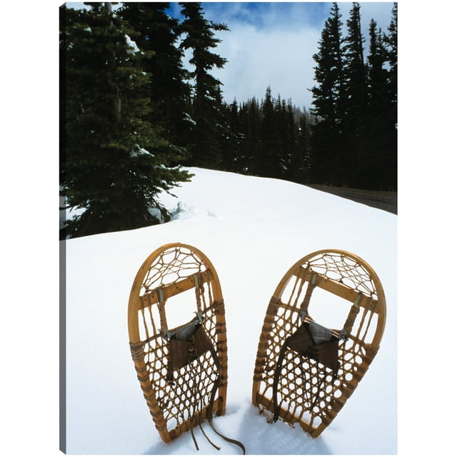 Cuadro Decorativo - Viejas raquetas de nieve de invierno