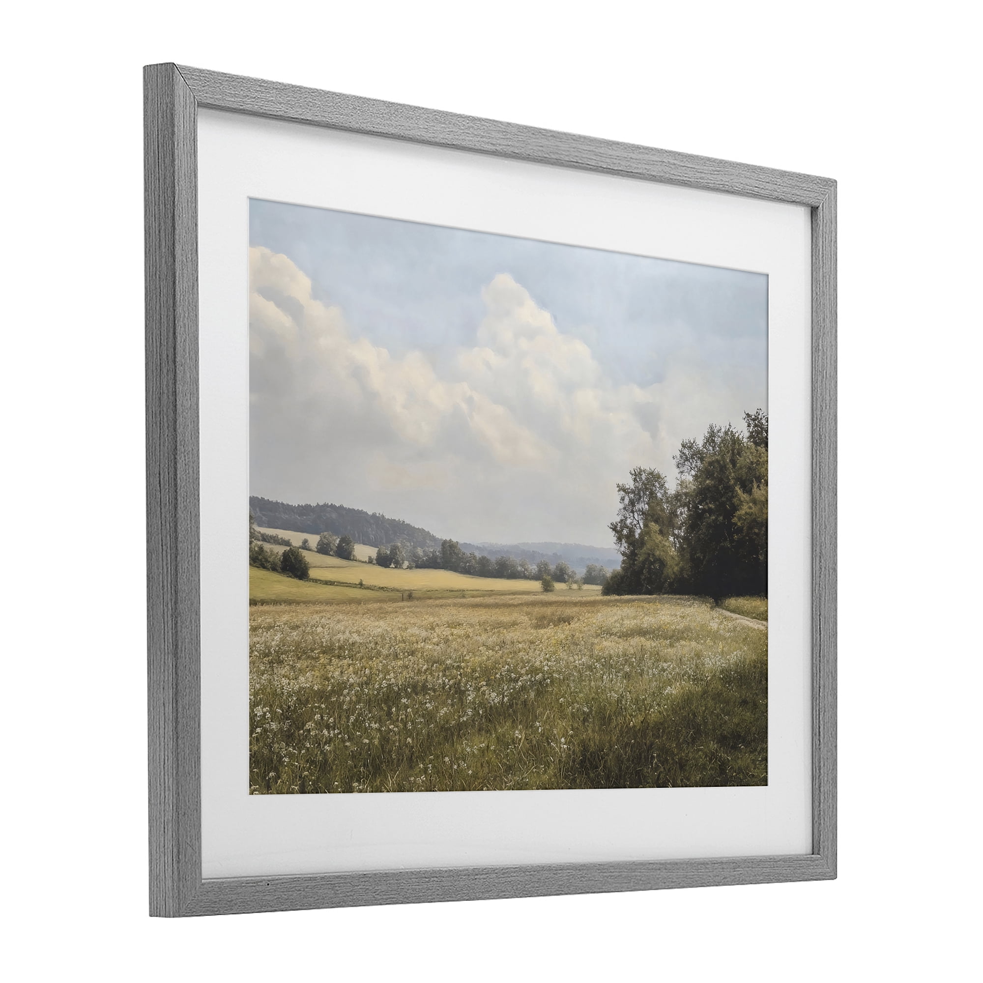 Stupell Industries Summer Landscape Cloudy Meadow Gray Framed Print Under Glass, design by Franklyn Gregory