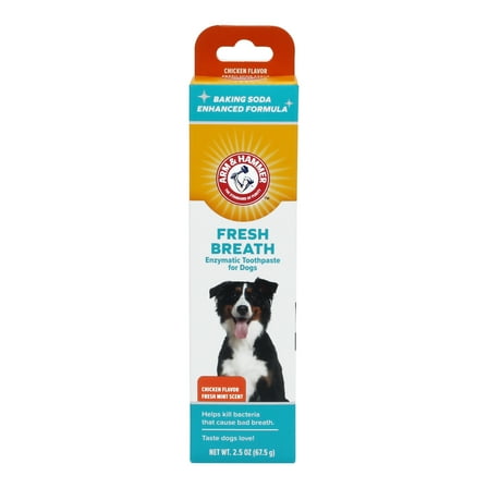 Arm & Hammer for Pets Dental Fresh Breath Enzymatic Toothpaste for Dogs and Puppies Chicken Flavor 2.5 oz