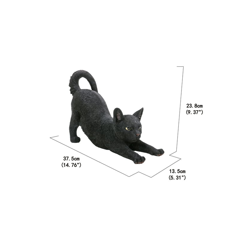 Black cat stretching sales