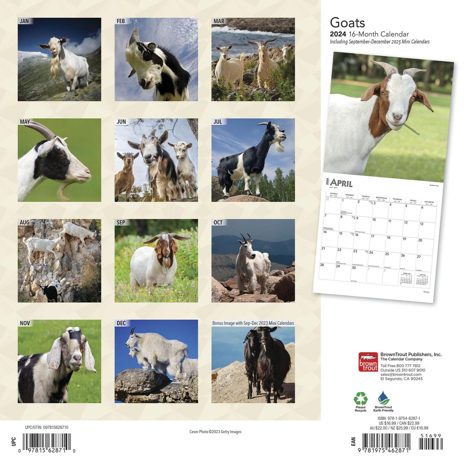 BrownTrout Chèvres 2024 Mur Carré 30.48x60.96 CM, 9781975462871