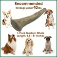 thumbnail image 5 of Deluxe Naturals 1-Pack Medium Whole Elk Antler Dog Chew, Natural Long-Lasting Chew Treat for Small and Medium Dogs, 5 of 10