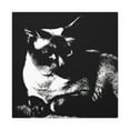 thumbnail image 2 of Feline Fauvist Companions - Canvas, 2 of 25