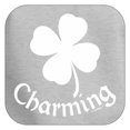 thumbnail image 2 of St Patricks Day Accessories 4 Leaf Clover Shamrock Lucky Charming Plus Size Premium Hoodie Sweatshirt 3X-Large Light Steel, 2 of 3