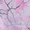 Pink, variant on Girls Pocket Mini Backpack, Iridescent