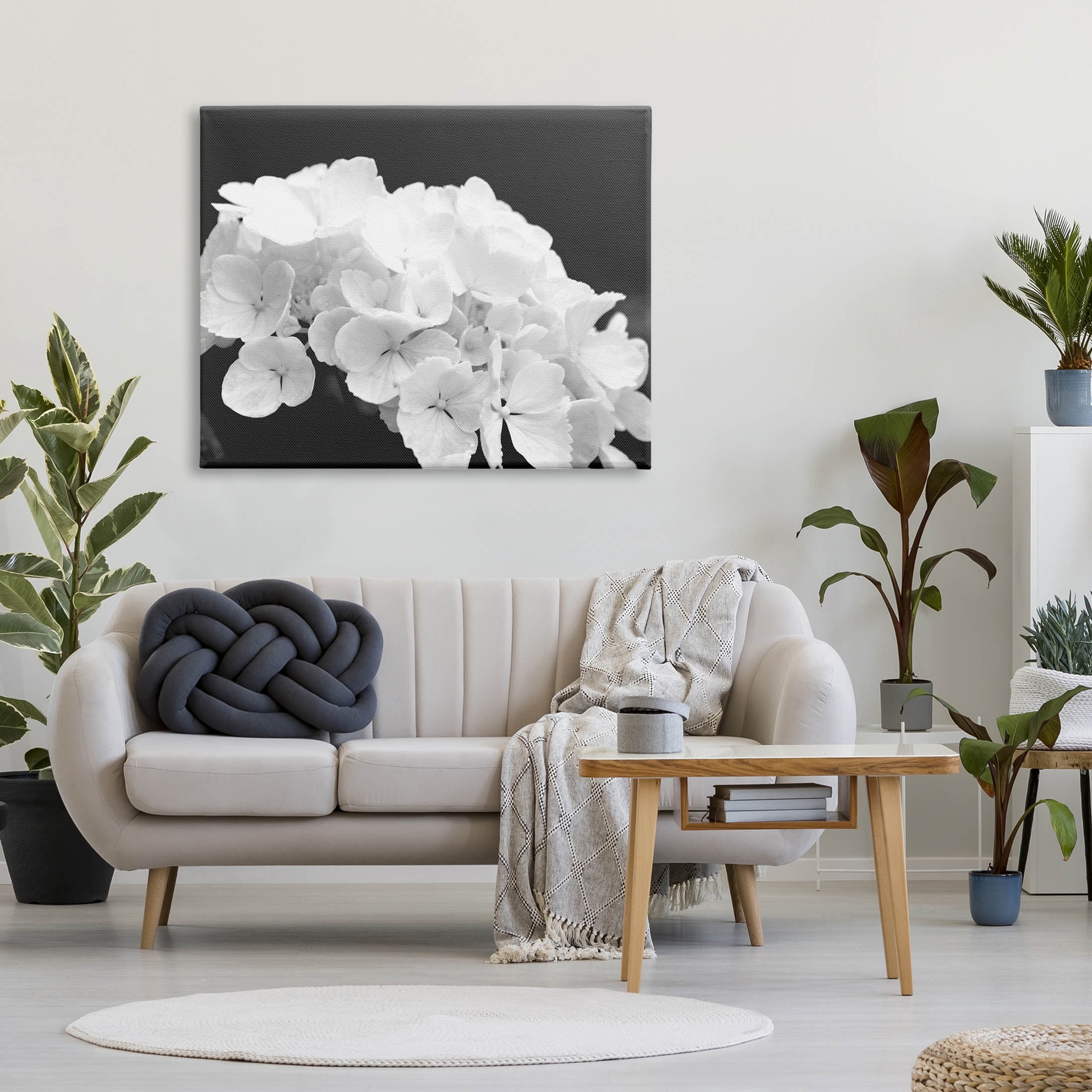 Delicate White Hydrangea Petals Botanical & Floral Photograph Gallery Wrapped Canvas Print Wall Art