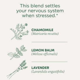 (4 pack) Traditional Medicinals Organic Chamomile and Lavender Herbal Tea Bags, 16 Count
