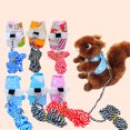 thumbnail image 5 of Pet Harness Creative Adjustable Heavy Duty Nylon Small Animal Harness with Leash, 5 of 5