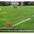 thumbnail image 2 of Pet Tie Out Cable Stake 3 Pieces Set For Dogs Up To 150 Pounds 3 Sizes Cable, 2 of 5