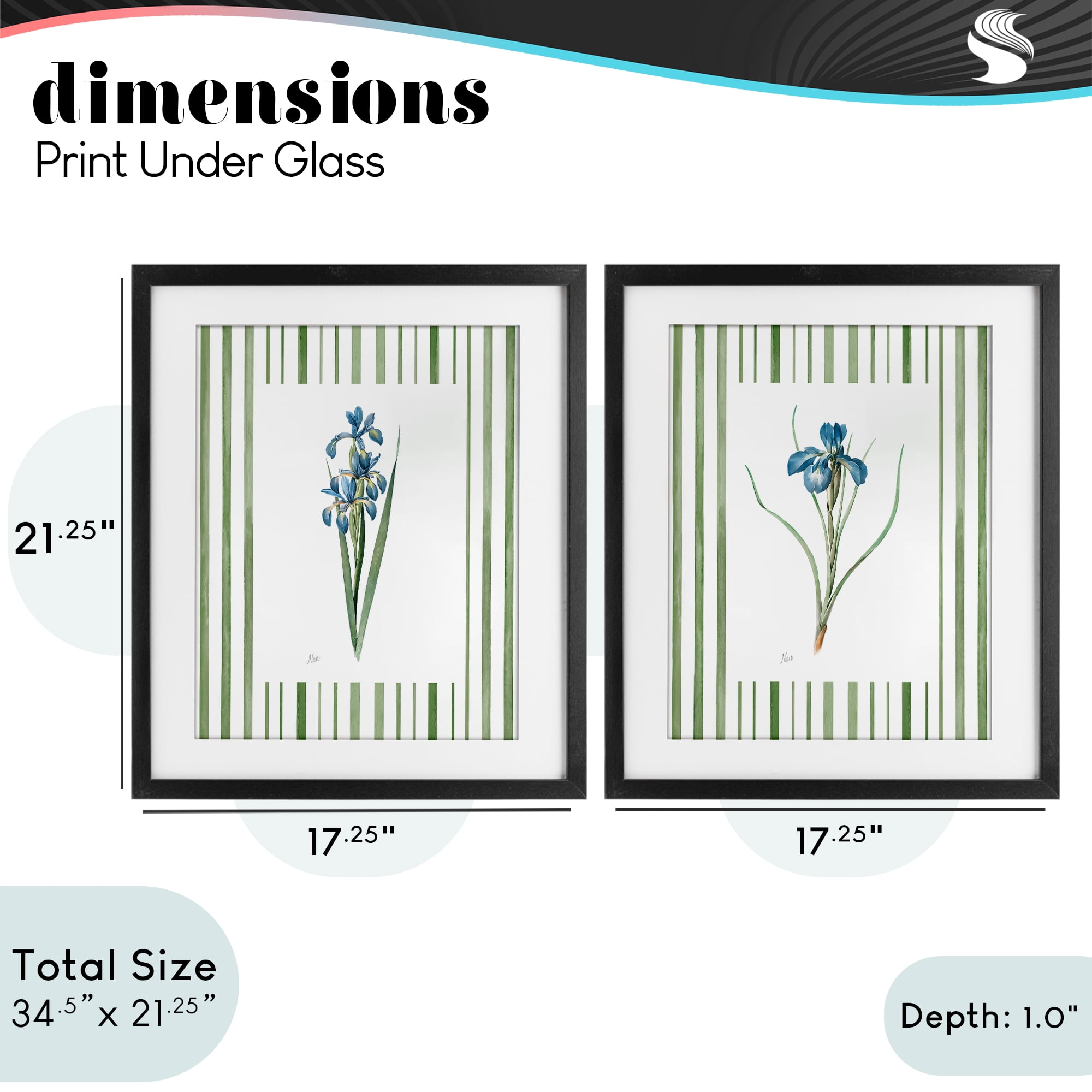 Stupell Industries Irises And Stripes 2 Piece Black Framed Print Under Glass Set, design by Nan