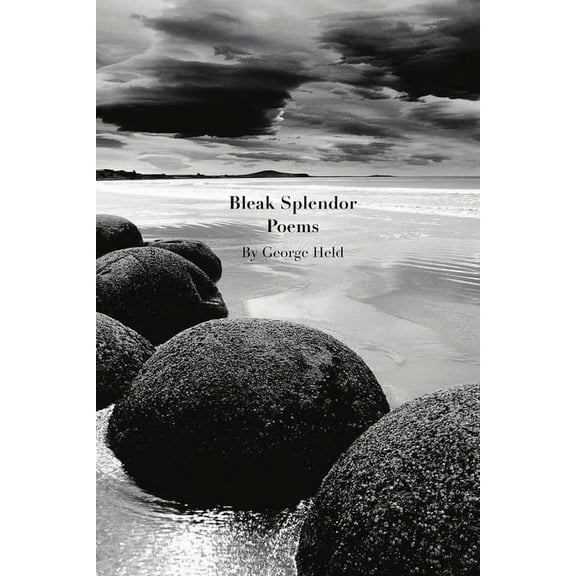 Bleak Splendor (Paperback)
