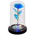 thumbnail image 1 of Flor Gift Childom Rainbow Rose en cúpula de cristal para mujer, 1 of 7