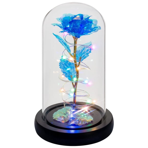 Flor Gift Childom Rainbow Rose en cúpula de cristal para mujer