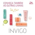 thumbnail image 3 of Acondicionador Wella Professionals Invigo Nutri Enrich Con Goji Berry 1 Litro, 3 of 8