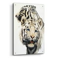 thumbnail image 2 of Epic Art 'Ghost' by Barbara Keith, Acrylic Glass Wall Art, 24"x36", 2 of 8