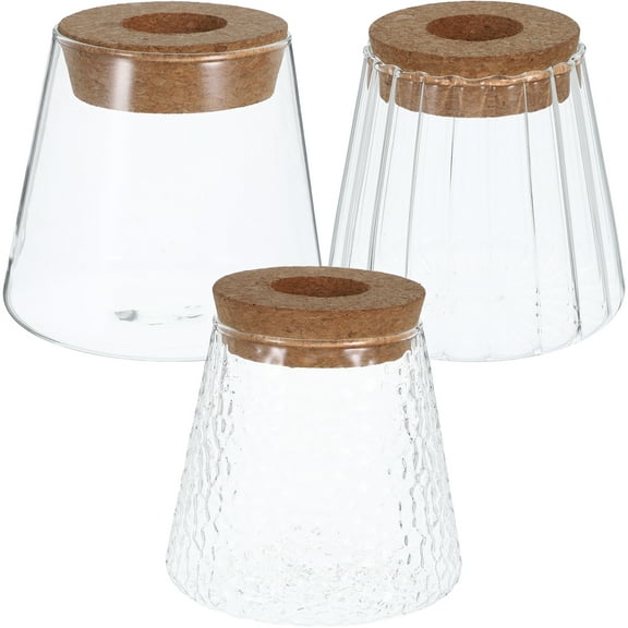 3 Pcs Hydroponic Plant Bottle Desktop Planter Desktop Propagation Station Terrarium Decor Flower Pots Transparent