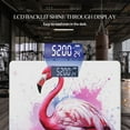 thumbnail image 3 of Bathroom Scale, Highly Accurate Digital Body Scale,Precisely Measures Weight up to 400 lbs-Beautiful Pink Flamingo Standing On White Background, 3 of 4