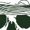 FOREST GREEN, variant on Instant Message - Fisherman Skull Crossed Rods Graphic Tank Top