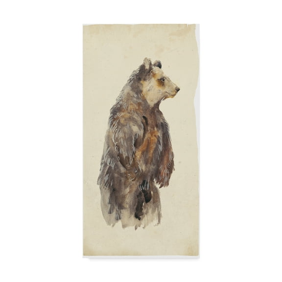 Trademark Fine Art 'Brown Bear Stare II' Canvas Art by Melissa Wang