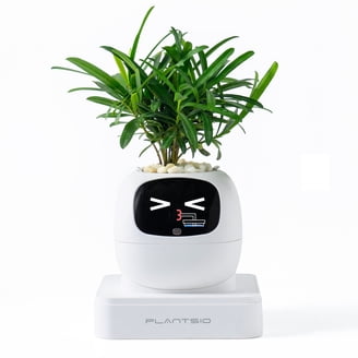 funny quotes about plants Plant Quotes Bundle | Funny Plant svg main image 0