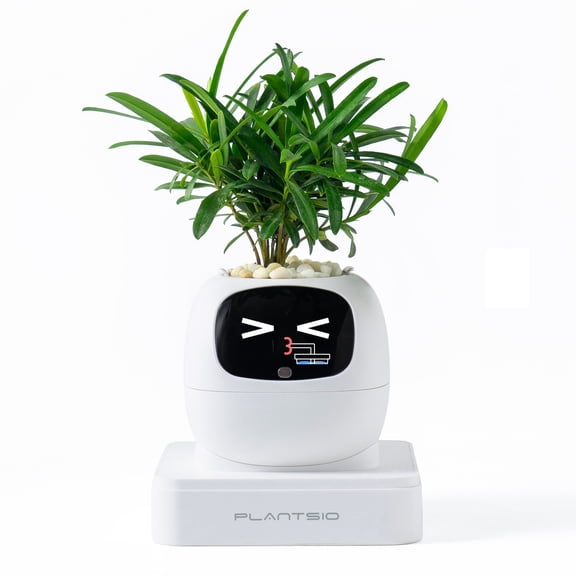 ITIGOITIE Smart Flowerpot with Artificial Intelligence, Time & Temperature Display, Multiple Expressions, Ideal for Indoor Decoration & Gifts (White, Gen 2)