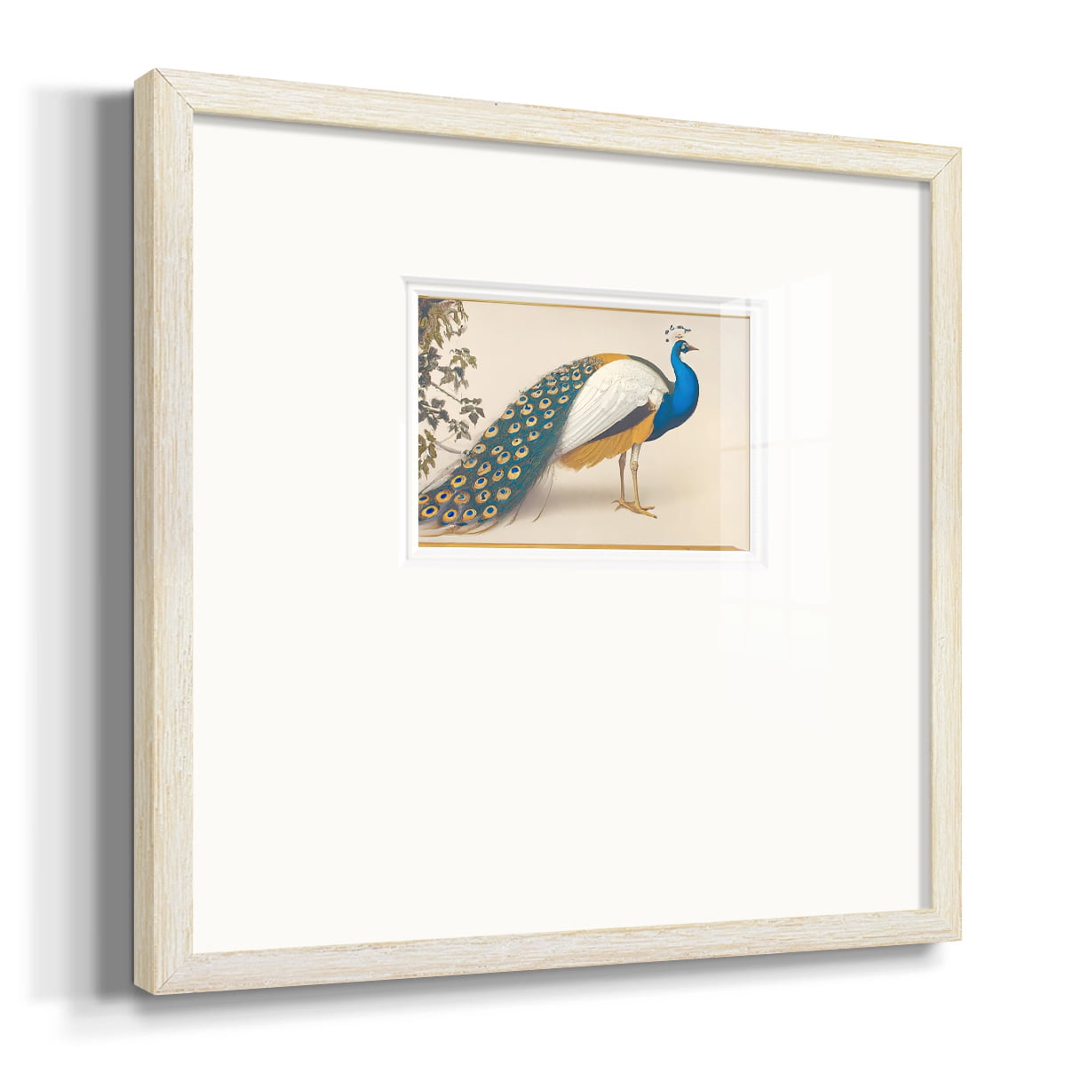 Golden Peacock IIIPremium Framed Print
