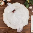 thumbnail image 4 of Balsa Circle 5 White Sheer Crinkled Organza Dinner Table Napkins Wedding Party Events Reception Decorations Supplies, 4 of 8