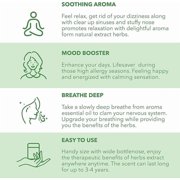 Hong Thai Traditional Thai Herbal Nasal Inhaler, 10g, Menthol Camphor Eucalyptus Blend – Pack of 1