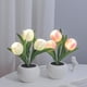 thumbnail image 4 of Lámpara LED YONGSHENG luz nocturna para baño dormitorio pasillo guardería Naranja Blanco Rosa, 4 of 5