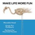 thumbnail image 2 of Halloween Express 27" Flamingo Skeleton Halloween Decoration, 2 of 5