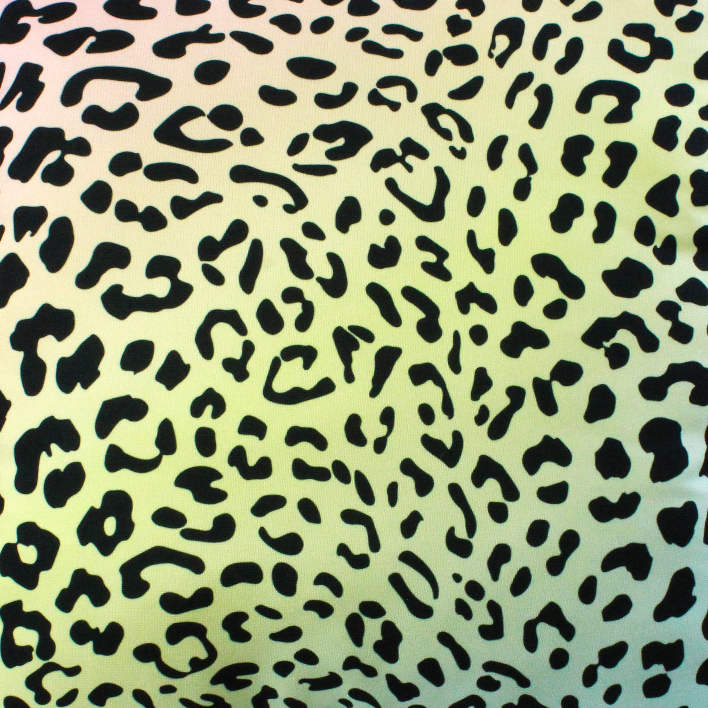 Everything Comfy Leopard Print Decorative Throw Pillow, 16x16 Inch, Pastel Gradient/Black,