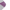 White/Purple/Teal/Raspberry, variant on Champion Women's Low Cut Sock, 3 Pack